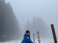-武陵山森林公园