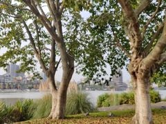 -眉山湿地公园(东坡区)