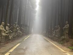 -武陵山森林公园