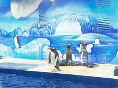 -重庆欢乐海底世界