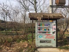 -石塘人家