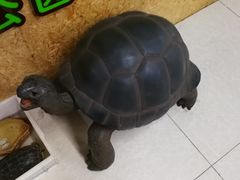 -米卢宠物公园(广华居店)