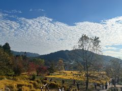 -塔川景区