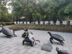 -广东惠东海龟国家级自然保护区