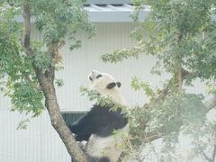 -无锡动物园·太湖欢乐园