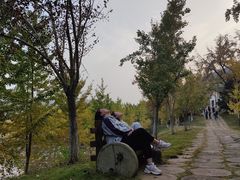 -千年银杏谷文化旅游区