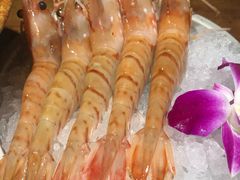 牡丹虾刺身-蟹将军·松叶蟹和牛日料放题自助(K11店)