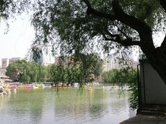 -团结湖公园