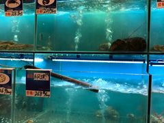 -南海渔家•海鲜•正宗海南菜(海棠湾店)