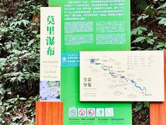 -莫里热带雨林景区