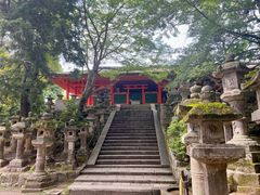 -奈良公园