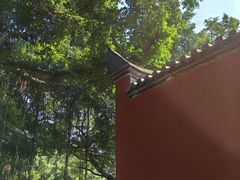 -乌山风景区