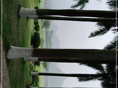 -南宁花花大世界景区