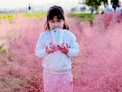 -汉长安城未央宫国家考古遗址公园