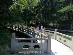 -四明山国家森林公园