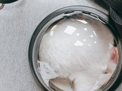 -美联众合动物医院(·中兽医·疑难杂症·严家桥分院)