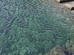 -石台牯牛降景区