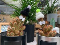 -三圣花乡旅游区