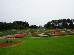 -保利石象湖景区