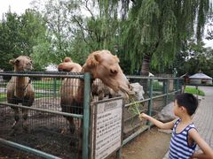 -蒙古大营(朝阳公园店)