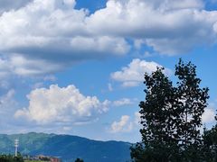 -长虫山生态公园风景林