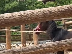 -太原动物园