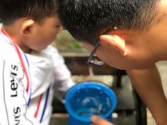 -青峰峡国家森林公园