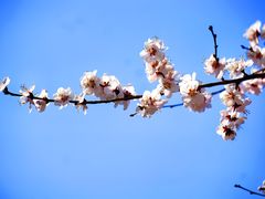 -太阳宫公园
