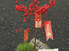 -F.Story 花和故事(新天地店)