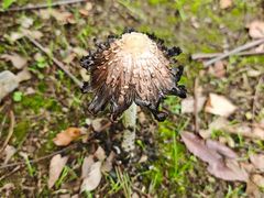 -狼山风景名胜区