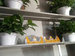 -鱼羊宴烤鱼羊蝎子烧烤(怡馨家园店)