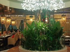 -润园四季椰子鸡火锅(海上世界店)