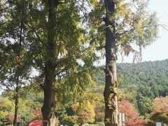 -云龙湖旅游景区