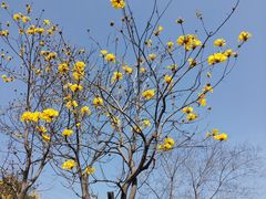 -中国移动南方基地