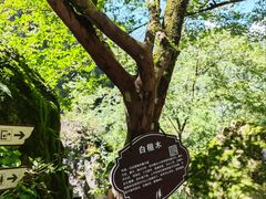 -刘伯温故里景区百丈漈