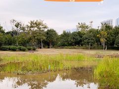 -福田红树林生态公园