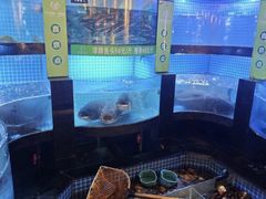 -千岛湖小鱼儿·淳安匠心农家菜