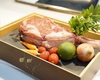 -蝶舍·MAISON PAPILLON