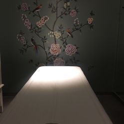 -奈瑞儿美颜美养SPA