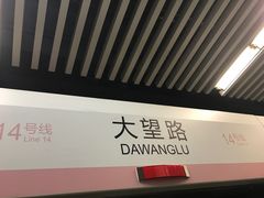 -大望路(地铁站)