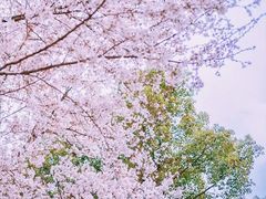 -穹窿山景区