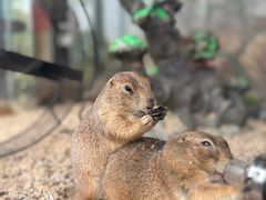 -珠海海泉湾神秘岛亲子乐园