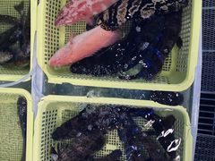 -蛇口市场