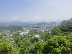 -福道