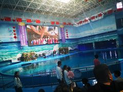 -多彩贵州城极地海洋世界