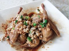 -百利鸽王(紫薇路店)