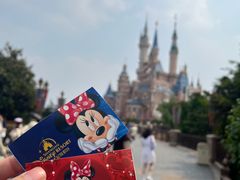 -上海迪士尼度假区