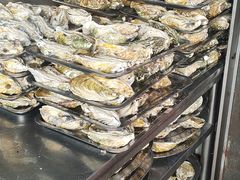 -蚝专家(北滘店)