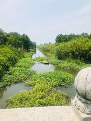 -水八仙生态园