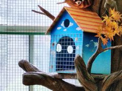 -海合安武汉极地海洋公园